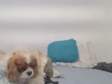 themythxthelegend – webcam model profile photo Image 12