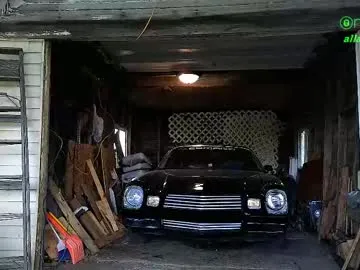 officiallyonlytams – webcam model profile photo Image 18