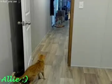 _healing_hottie_ – webcam model profile photo Image 5