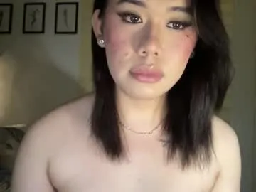 splendid_dolls – webcam model profile photo Image 18