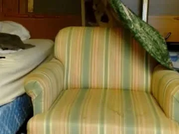 sumersunsett – webcam model profile photo Image 17