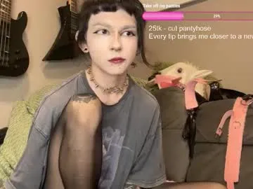 splendid_dolls – webcam model profile photo Image 7