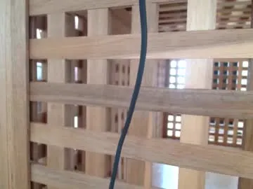 charming_flower – webcam model profile photo Image 6