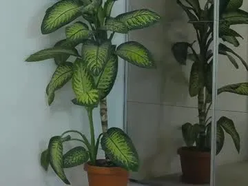 jeniffer_100 – webcam model profile photo Image 2