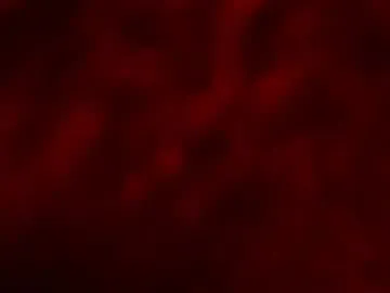 party_rachell_ggh – webcam model profile photo Image 15