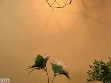 best_alice – webcam model profile photo Image 8