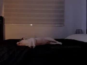 cloekatz_ – webcam model profile photo Image 14