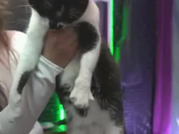 hemiplekta – webcam model profile photo Image 13