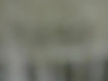 pingrose1 – webcam model profile photo Image 18