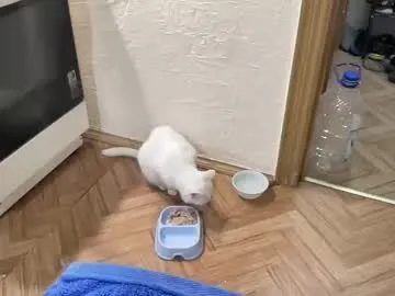 anabel054 – webcam model profile photo Image 16