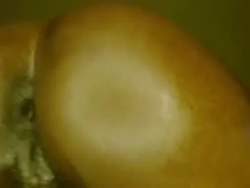 ami_sweet_19 – webcam model profile photo Image 3