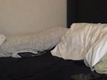 oliviaowens – webcam model profile photo Image 13