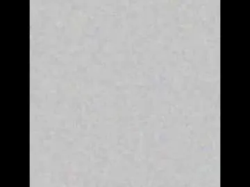 angelsofaurora – webcam model profile photo Image 8