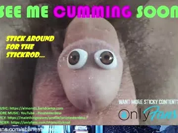 bella_bloom1 – webcam model profile photo Image 12