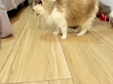 darknes_lilith18 – webcam model profile photo Image 9