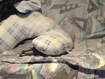 tarantino_girl – webcam model profile photo Image 14